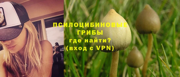 ешки Белоозёрский